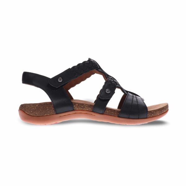 Anna Black Sandals By Scholl