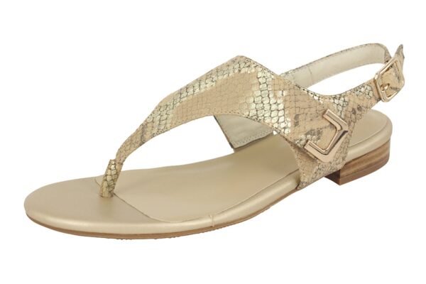 Cain Metallic Snake Tan Sandals By Chrissie