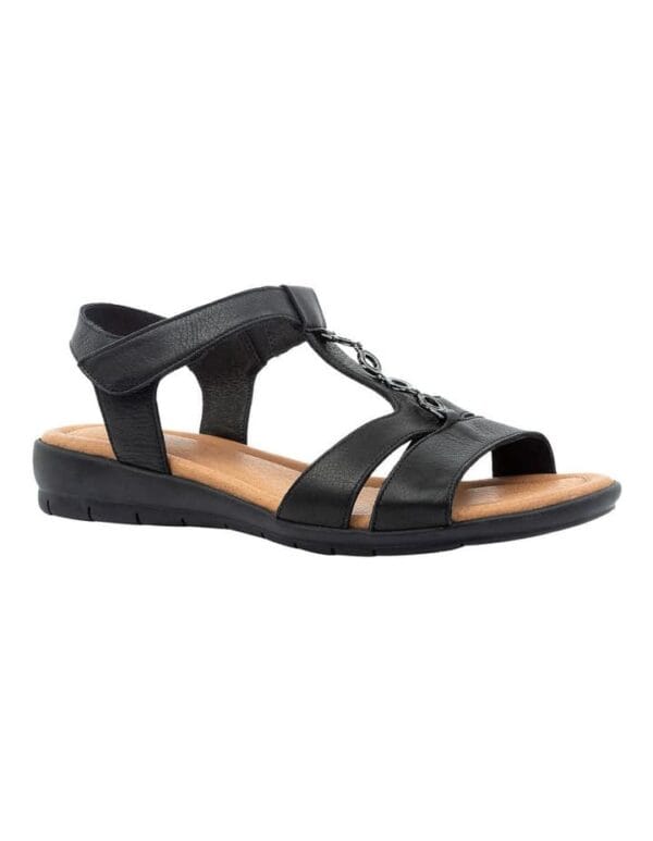 Diana Ferrari - Ferraro - Charcoal Suede