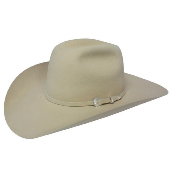 Silverbelly Felt Hat by Mavericks