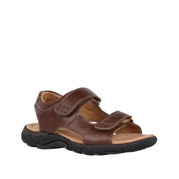 GR brown by Bolt
