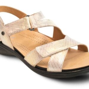 Zanzibar Metallic Interest byRevere