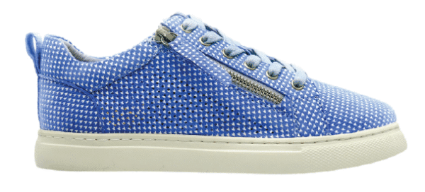 Cassini Music Blue Jets Womens Sneaker